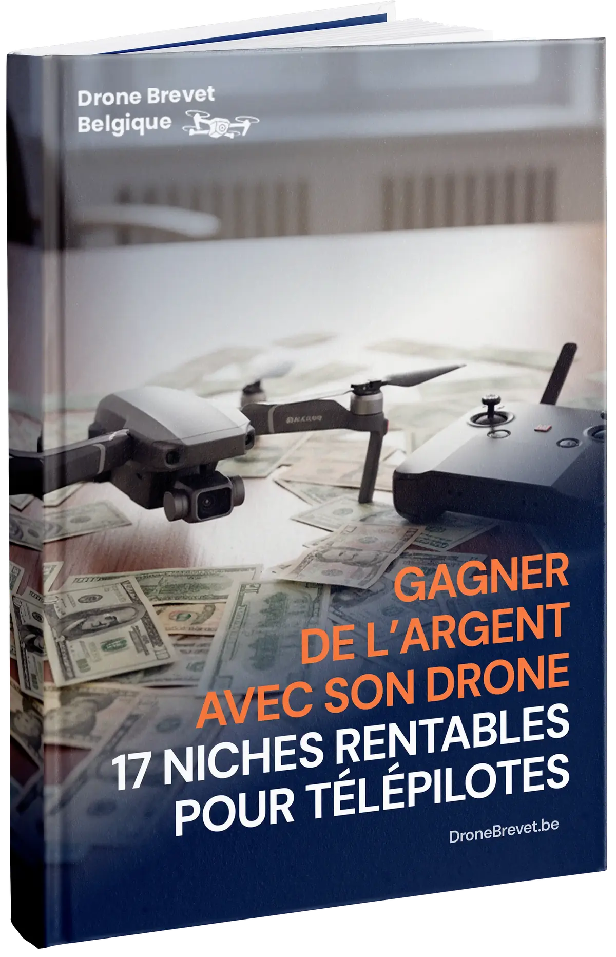 Gagner de l’argent avec son drone : 17 niches rentables pour télépilotes - Image 1